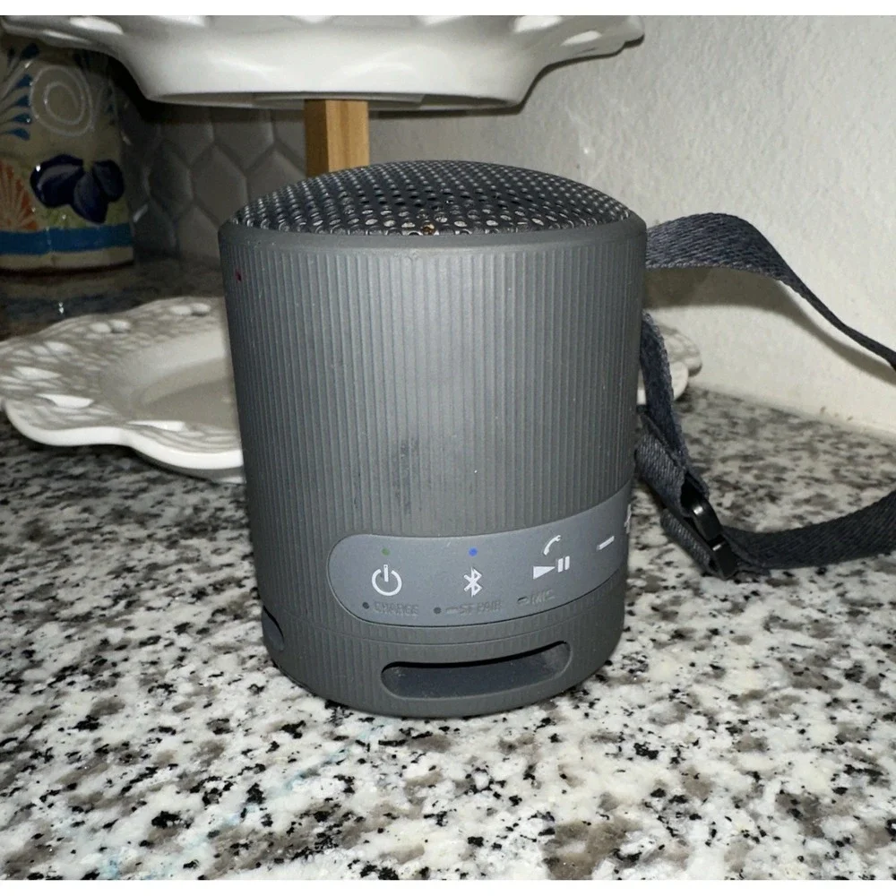 Sony SRS-XB100 Portable Bluetooth Wireless Speaker Gray YY7856E